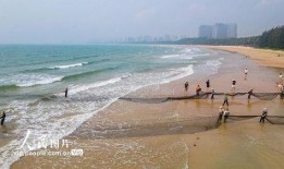 海南赶海爆料网站大全最新,探索海滩的秘密宝藏